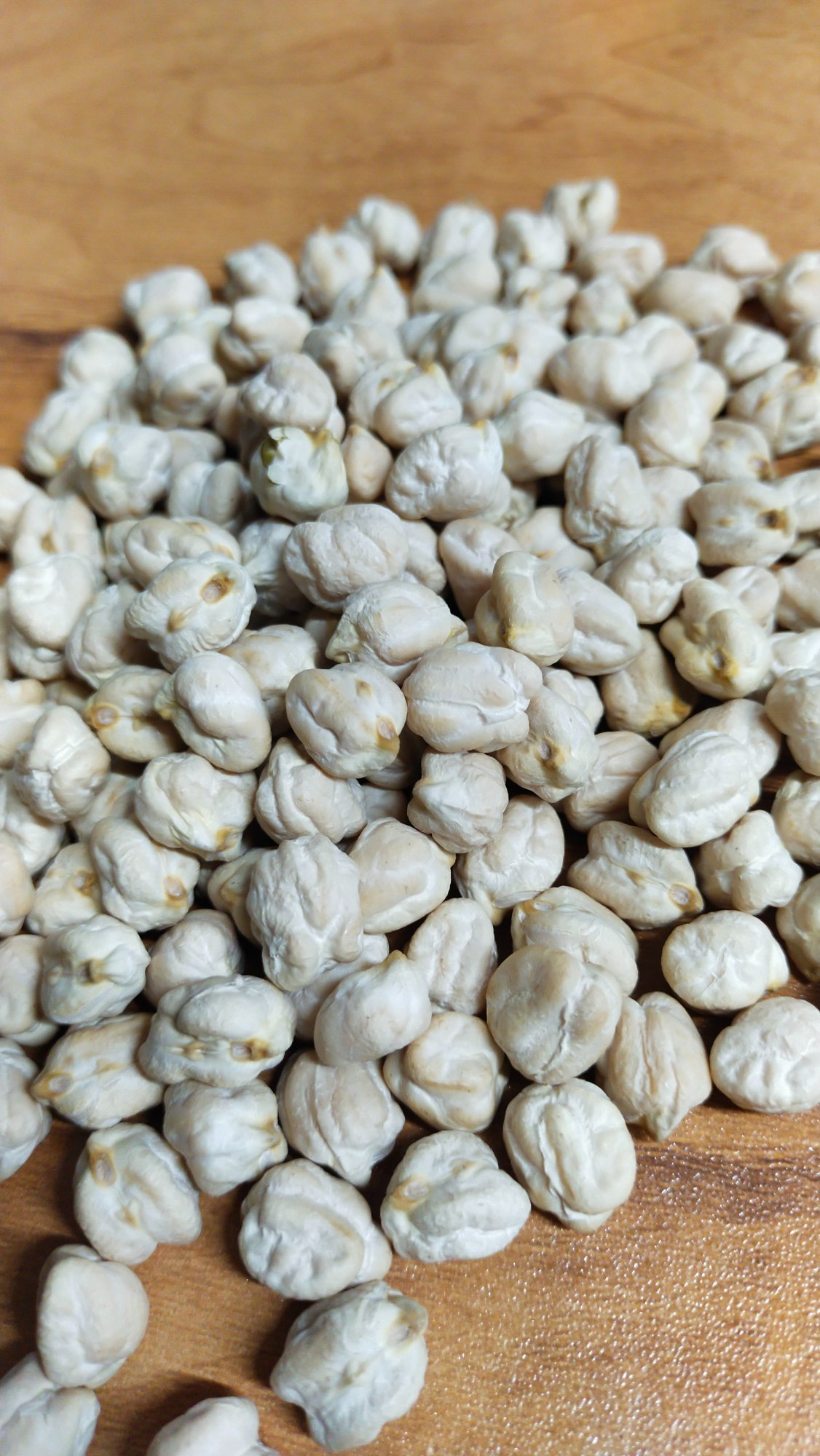 Chickpeas white  category - Shop online